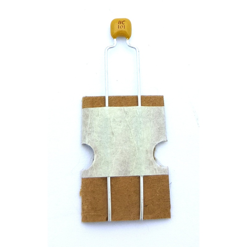 ceramic capacitor 100 pF 5% 50 volts