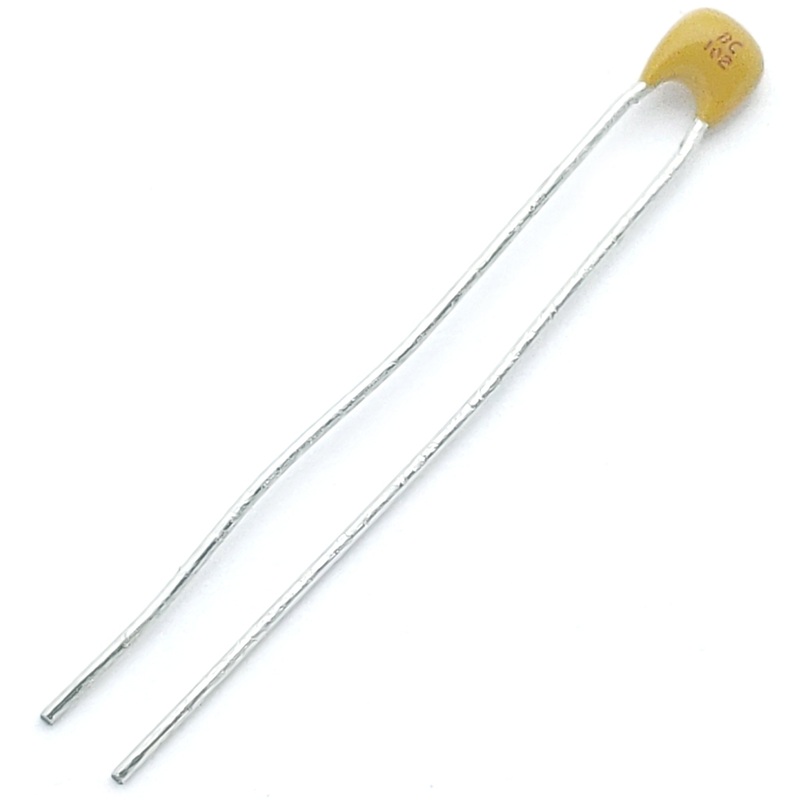 ceramic capacitor 1000 pF 10% 100 volts X7R