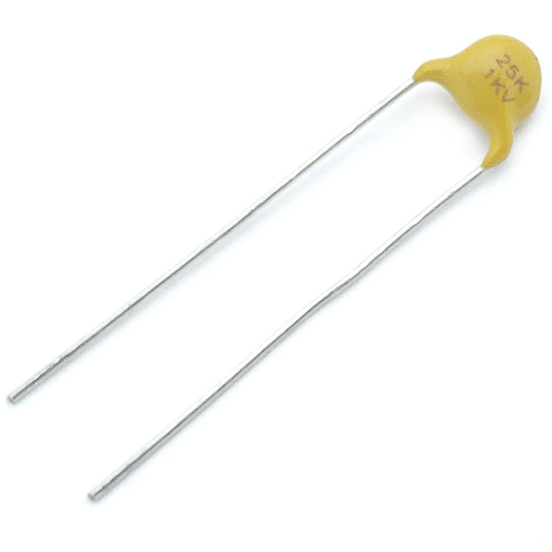 ceramic capacitor 25 pF 10% 1000 volts S2L