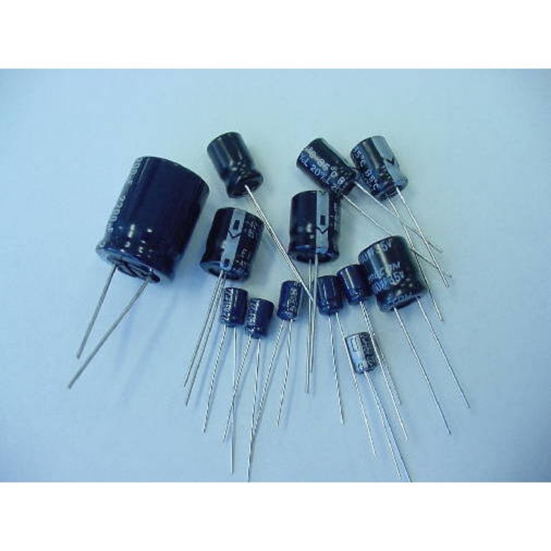 100uF 100 Volt Electrolytic Capacitor