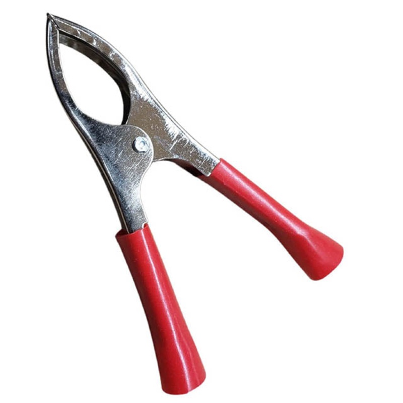 NA1018R – ALLIGATOR CLIP 50MM RED STANDARD